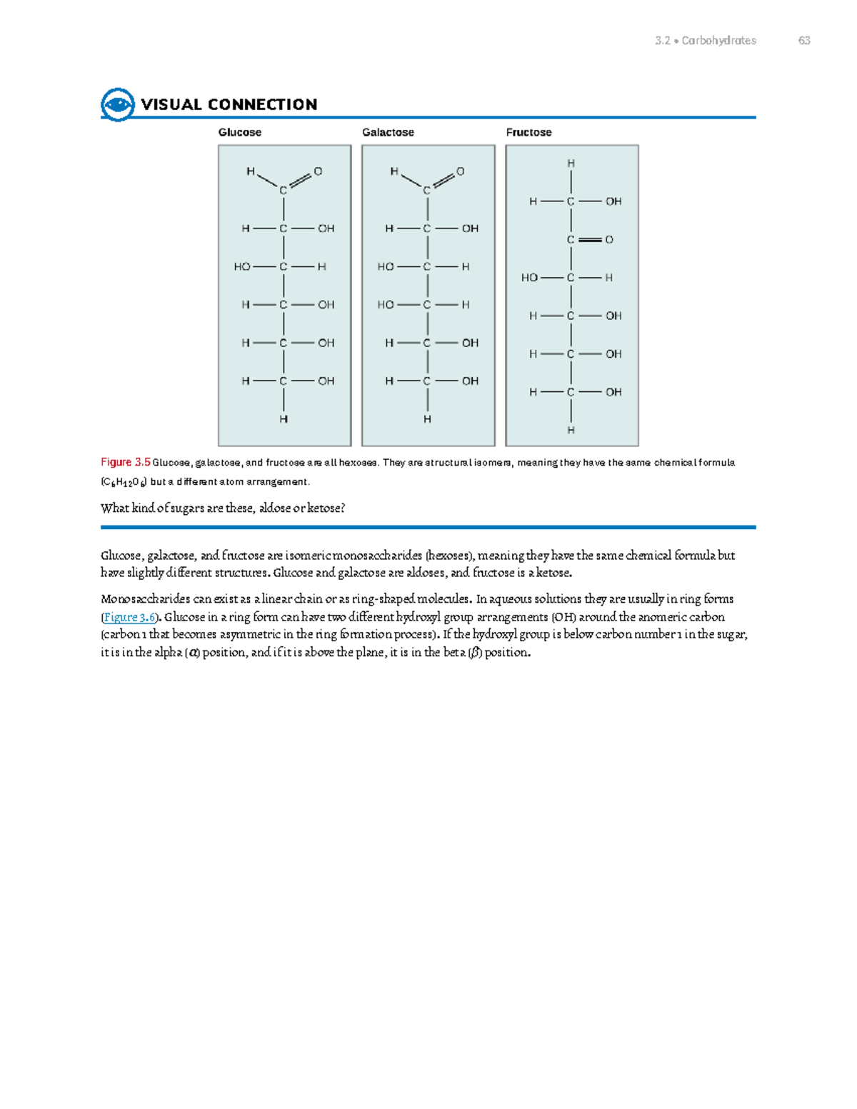 Chapter 3 Biological Macromolecules Part 2 VISUAL CONNECTION Figure 3