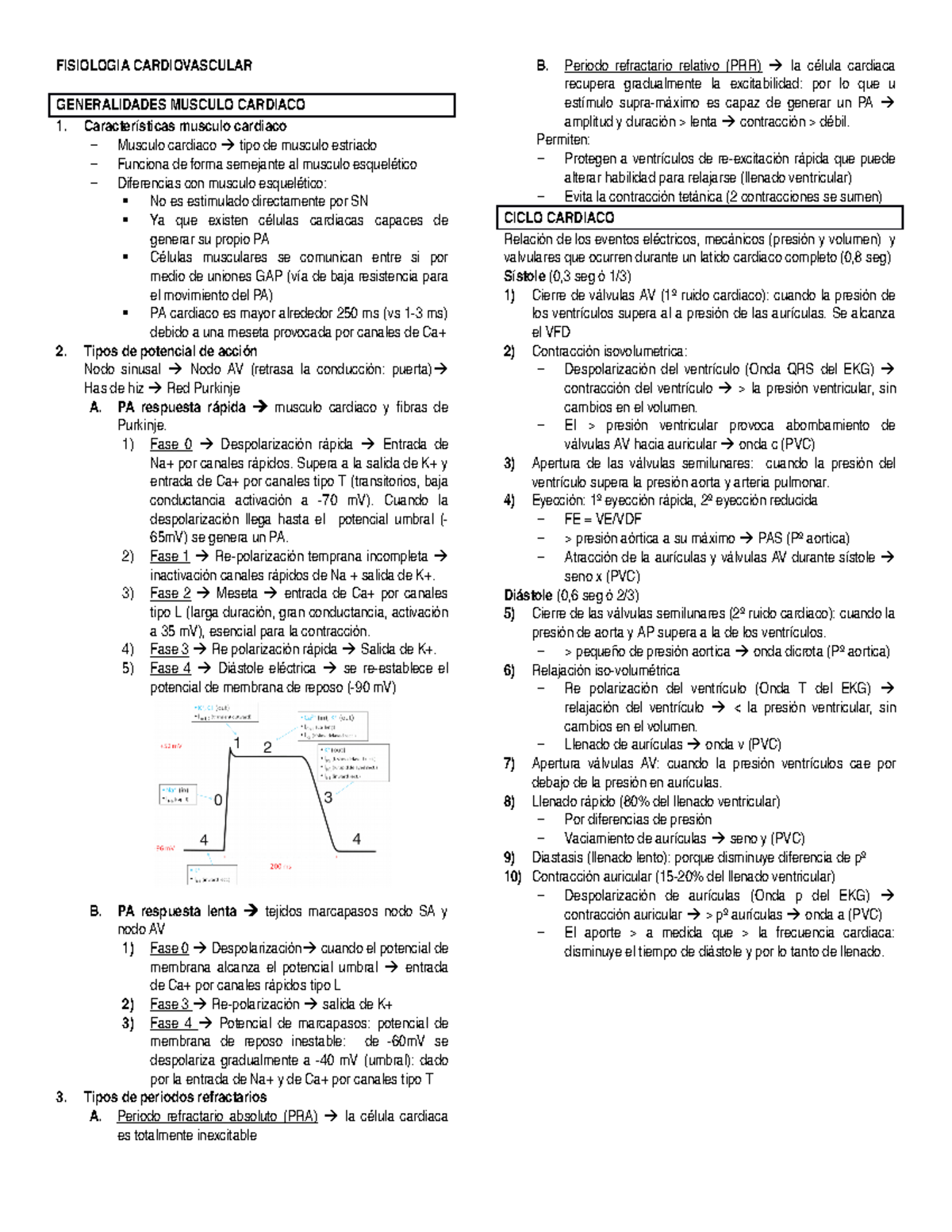 Fisiologia Cardiaca Fisiologia Tme 122 Fisiologia Cardiovascular Studocu