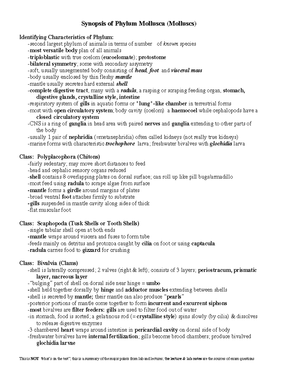 Phylum Mollusca Notes - This is NOT “what’s on the test”; this is a ...