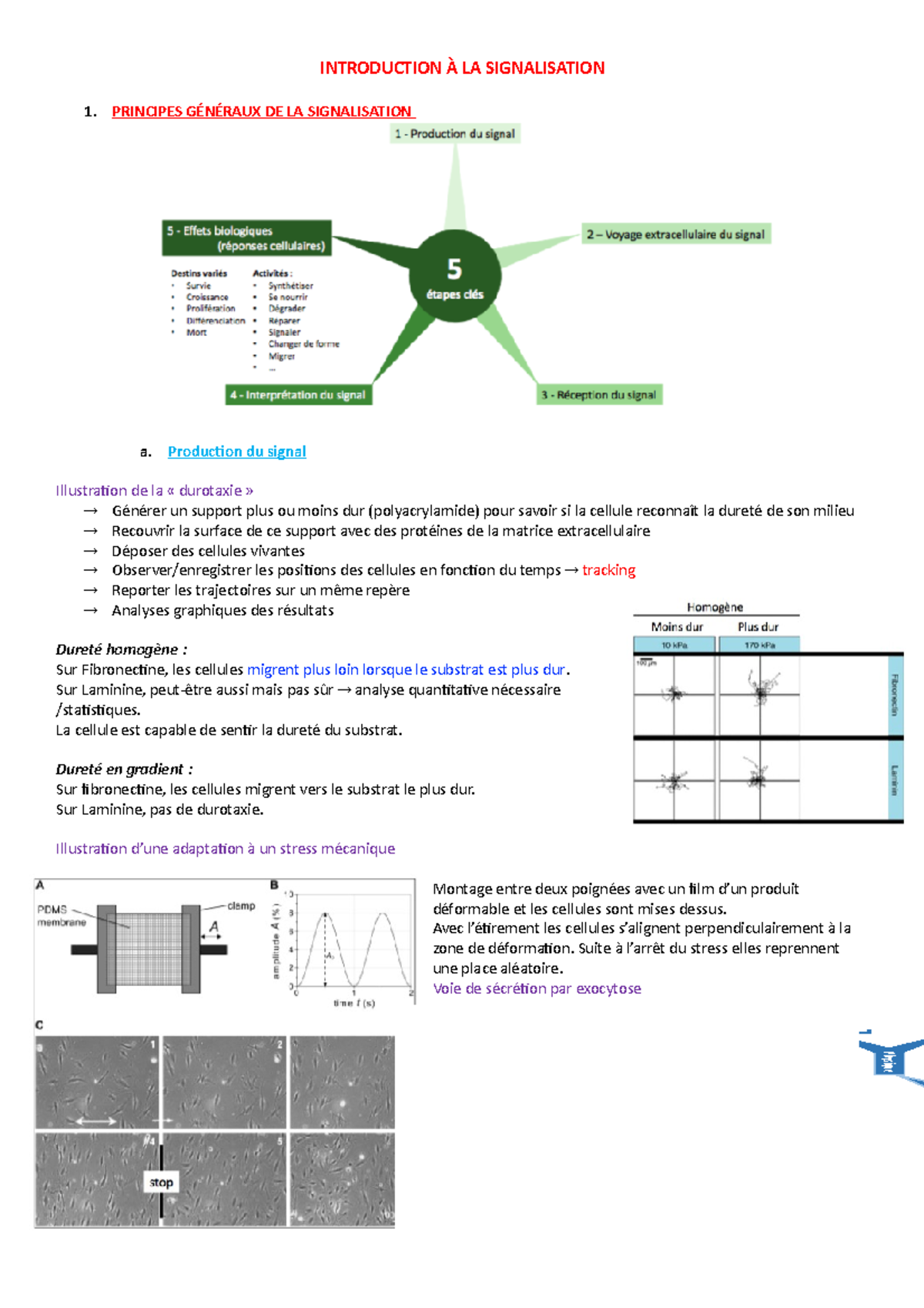 Comment Fonctionne La Signalisation – WNZCUJ