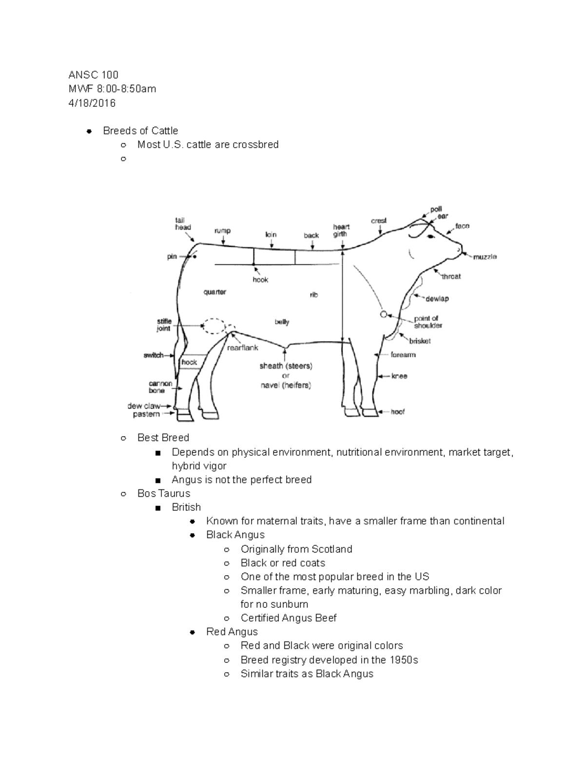 ANSC100 Lecture31 ANSC 100 MWF 8 00 8 50am 4 18 2016 Breeds Of Cattle