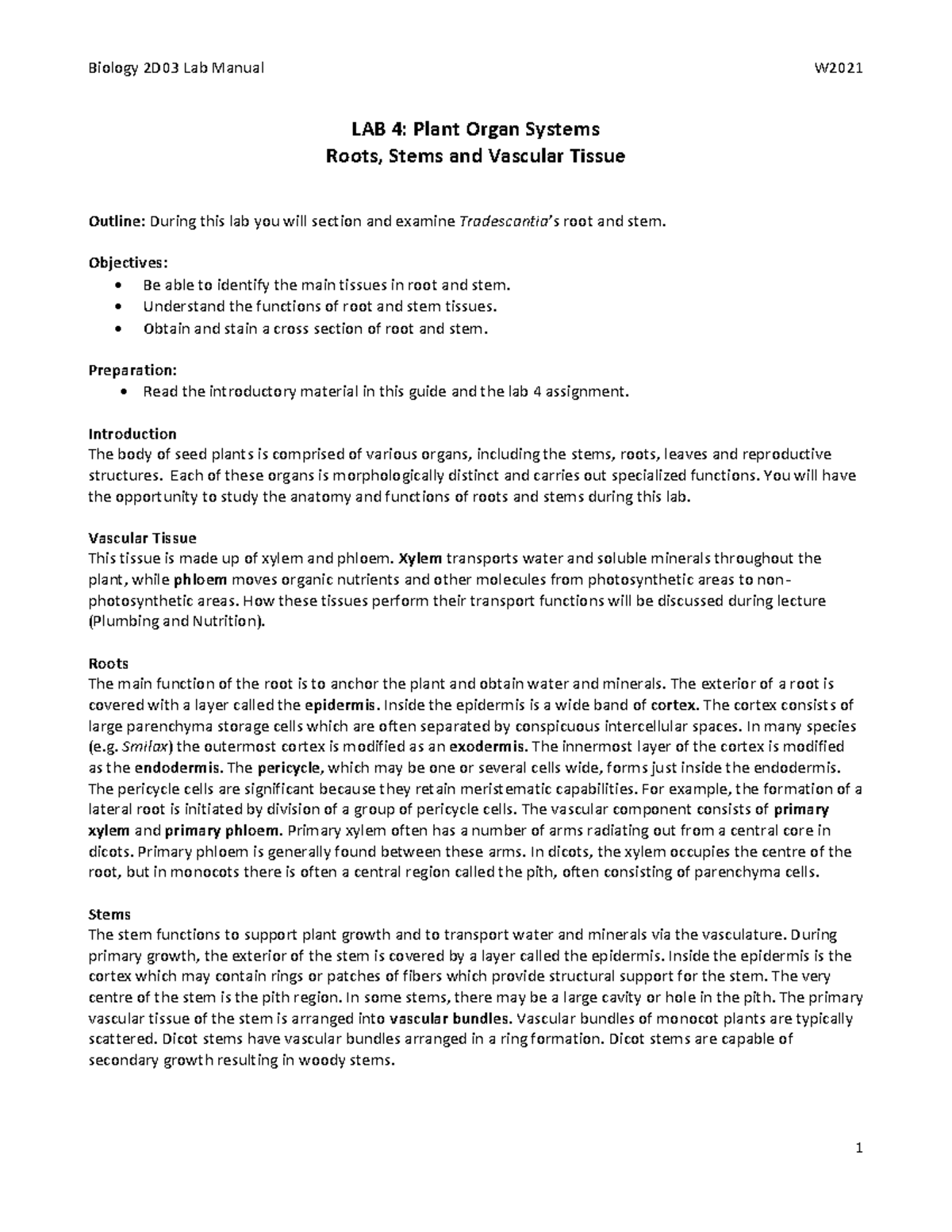 Bio 2D03 Lab 4 plant reproduction LAB 4 Plant Organ Systems Roots