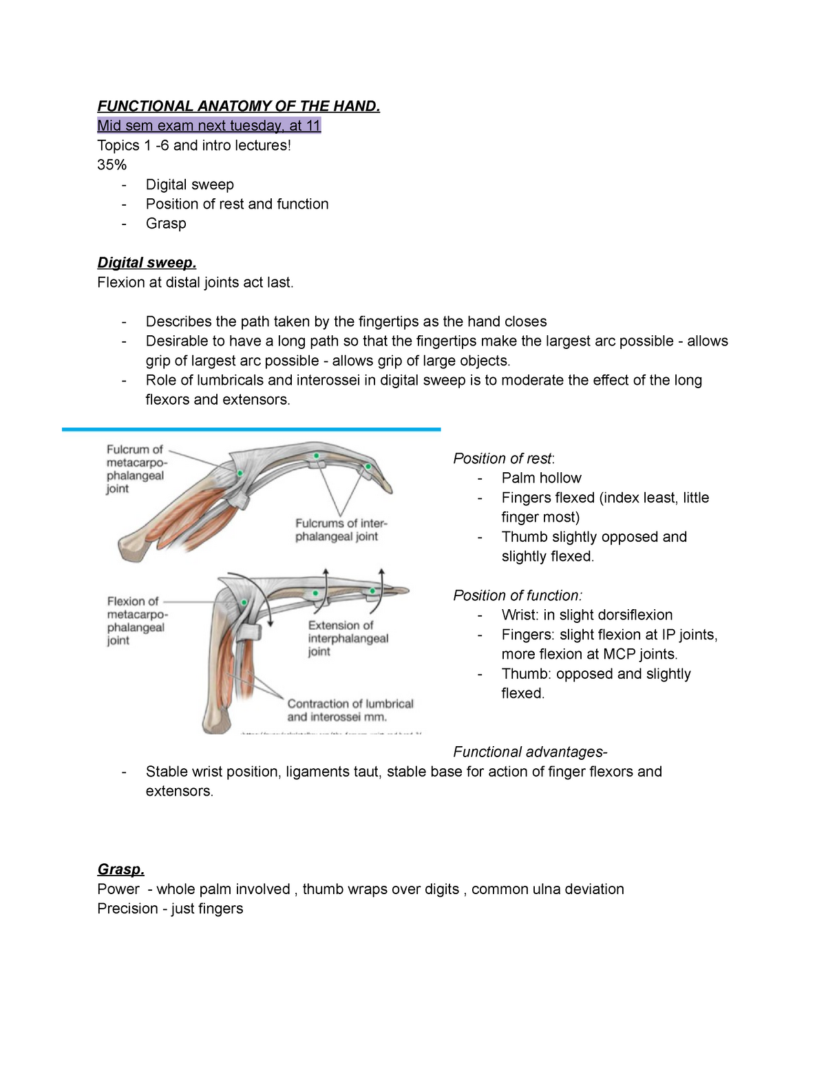 Functional Anatomy OF THE HAND - FUNCTIONAL ANATOMY OF THE HAND. Mid ...