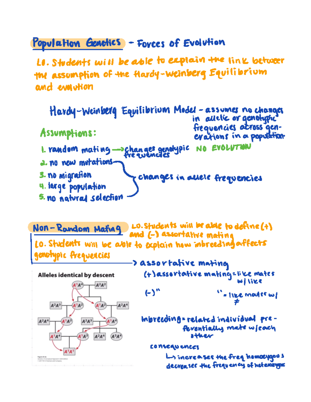 14.4 lecture notes - Population Genetics Forces of Evolution L0 ...