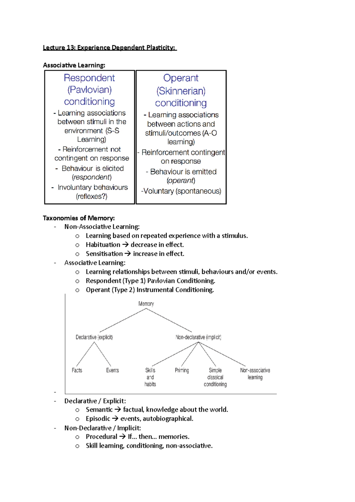 Transform Your Brain: Understanding Experience Expectant And Dependent Plasticity - wi3gb5c