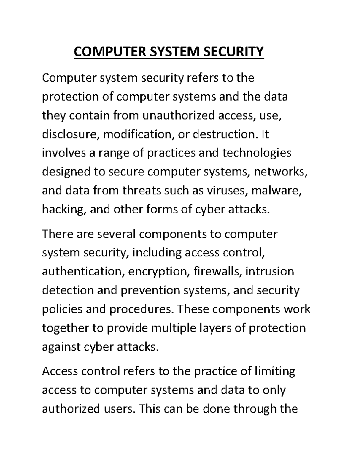 computer security system essay