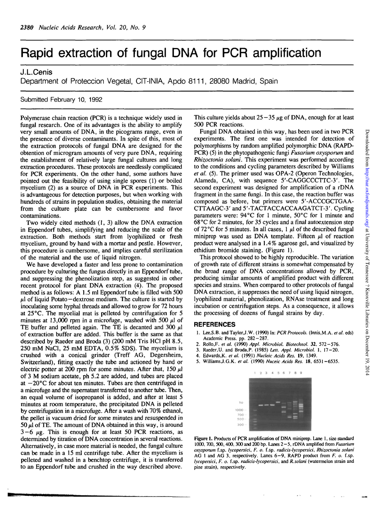 Rapid Extraction Of Fungal DNA For PCR Amplification - 2380 Nucleic ...