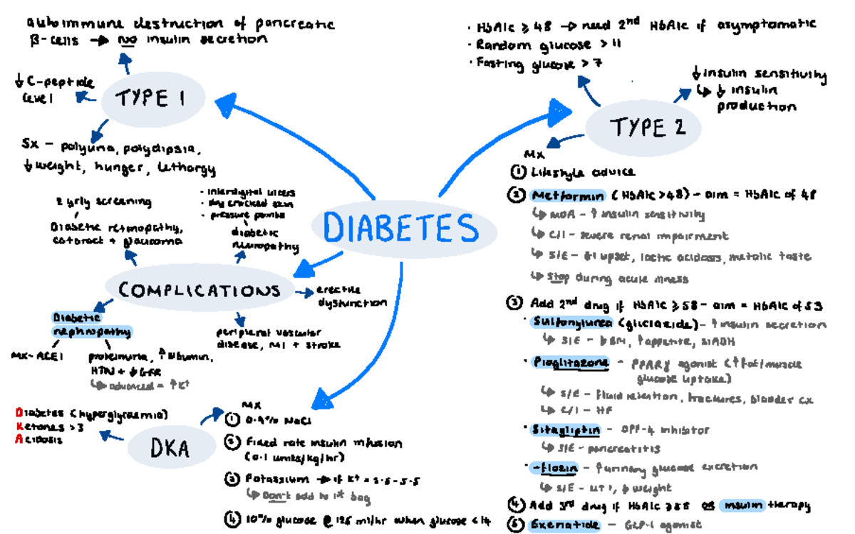 Endocrinology spider diagrams - autoimmune destruction of pancreatic ...