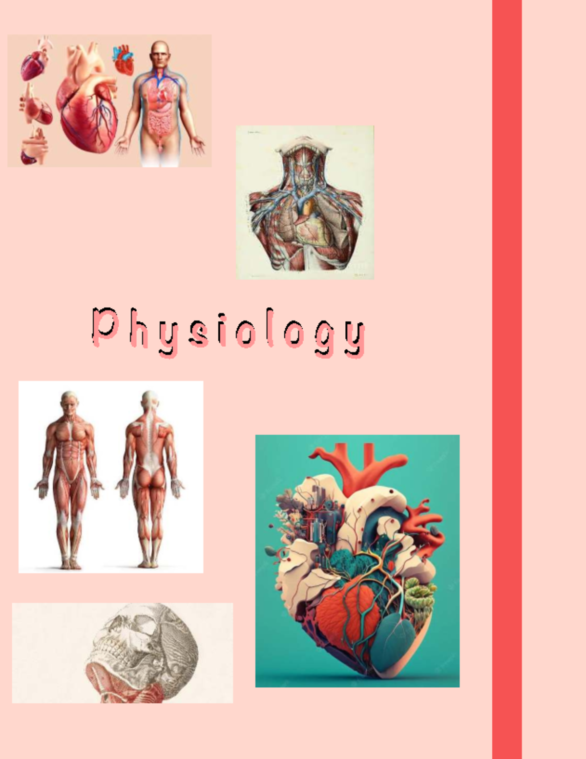 Flgx 123 notes human physiology - P h y s i o l o g yP h y s i o l o g ...
