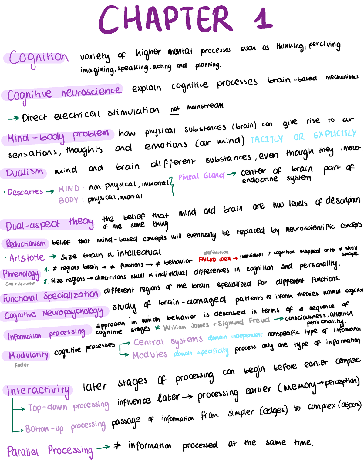 Chapter 1 - Summary Brain, Body & Behaviour - CHAPTER 1- Cognition ...