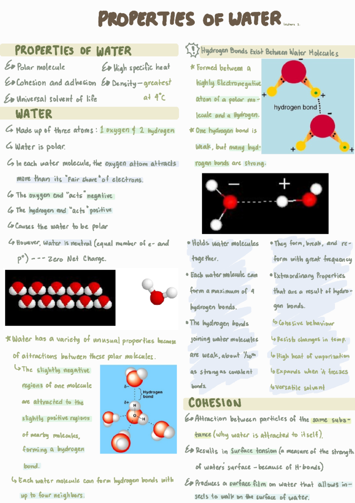CHEM 2221 Lecture 2 - PROPERTIES OF WATER - PROPERTIES OF WATER Lecture ...