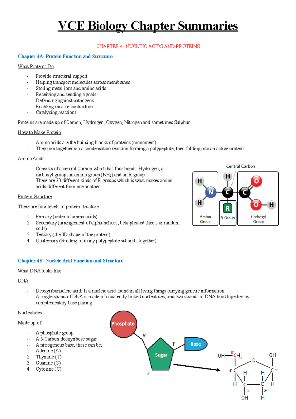 Unit 3- Chapter 4 Summary - VCE Biology Chapter Summaries CHAPTER 4- NUCLEIC ACIDS AND PROTEINS ...