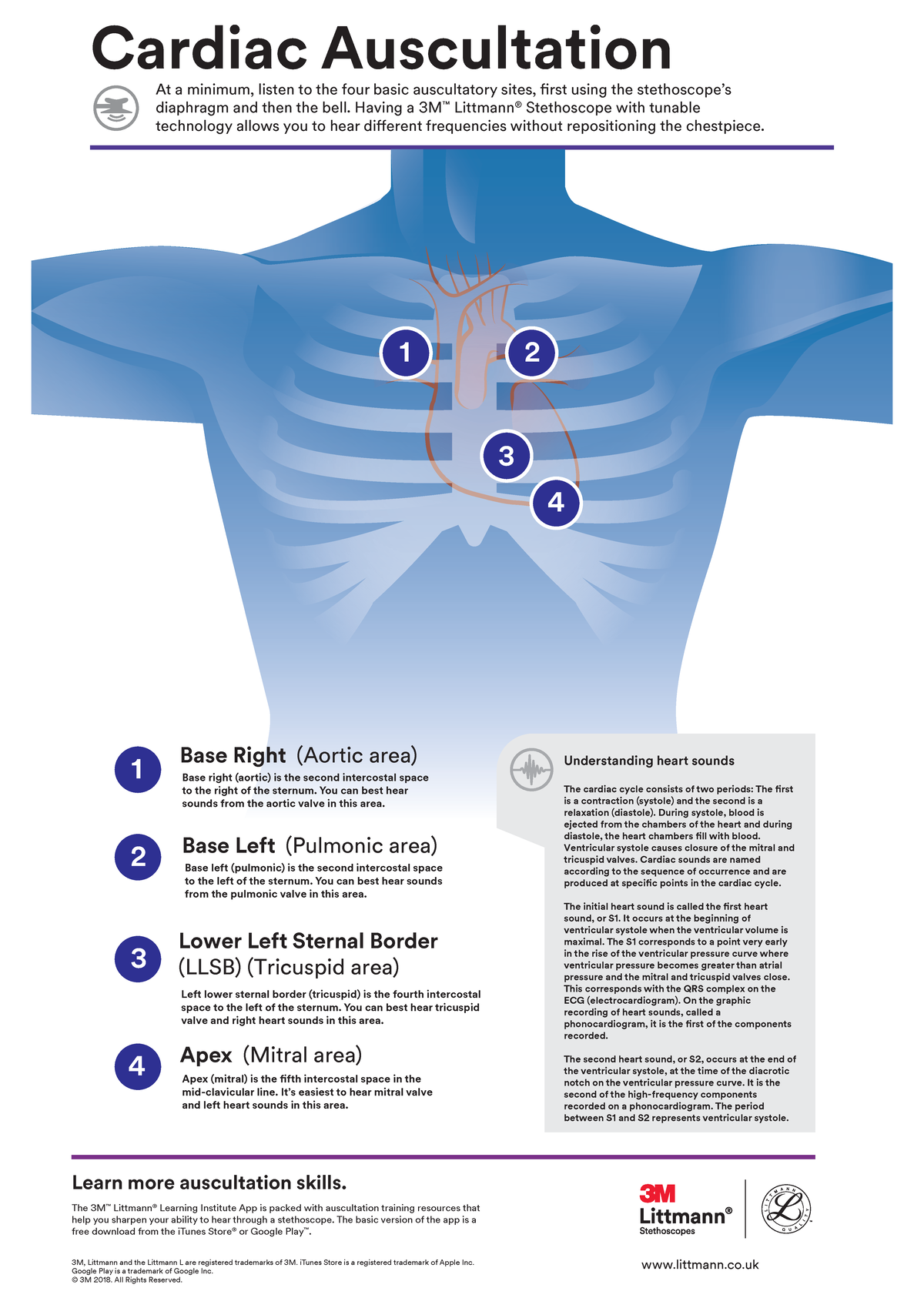 Uk cardiac-auscultation-exam - poster guide brief - S807 - OU - Studocu