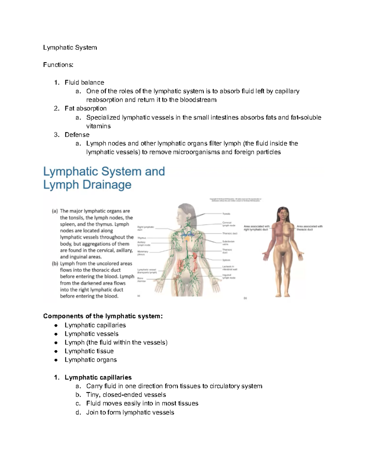 Anaphy Lymphatic System - Lymphatic System Functions: Fluid balance a ...