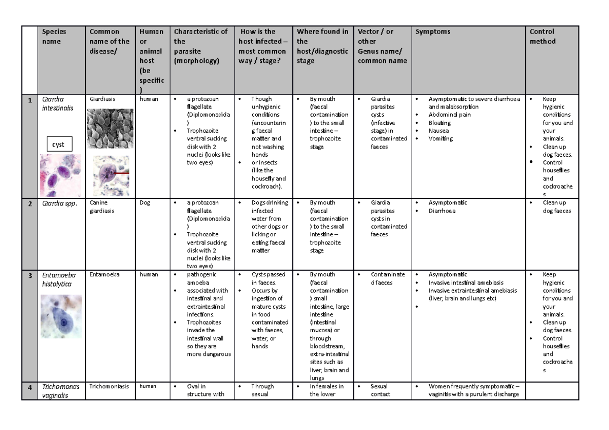 Protozoa - Table 1 Prac 1 (Auto Recovered) - Species name Common name ...