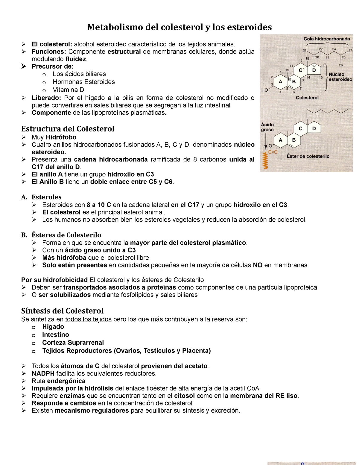 como inyectarse esteroides Explicación 101