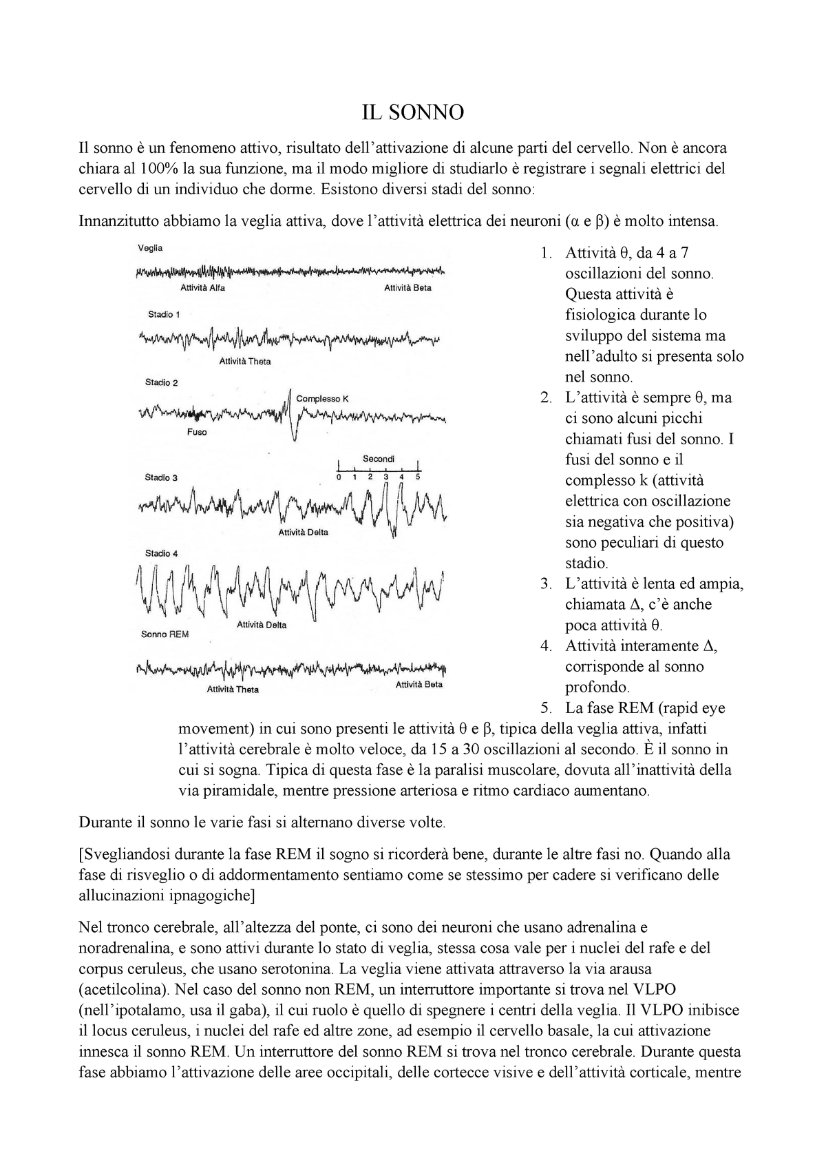 Il Sonno Appunti Di Psicologia Fisiologica Studocu