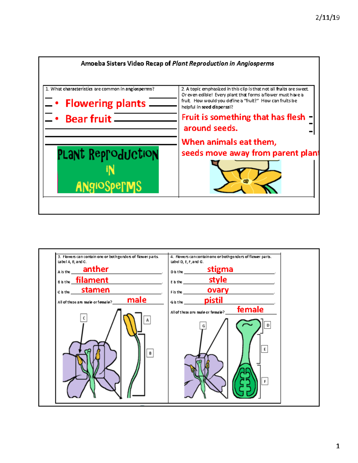 Amoeba Sisters Video Recap Of Plant Reproduction In Angiosperms Ppt AS flower reproduction - 2/11/ 1 Amoeba Sisters Video Recap of