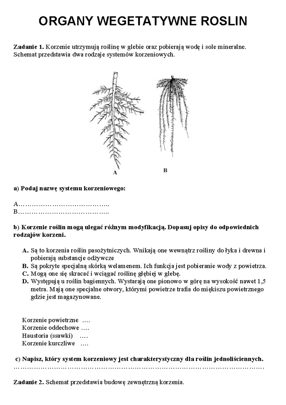 Organy Wegetatywne Roslin - ORGANY WEGETATYWNE ROSLIN Zadanie 1