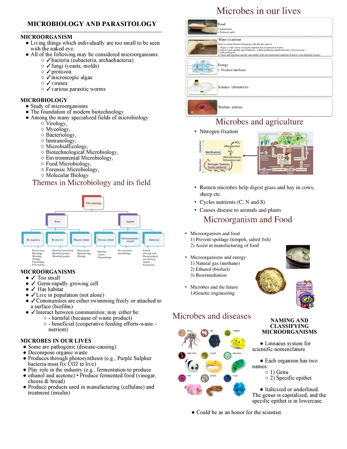 Microbiology And Parasitology - MICROBIOLOGY AND PARASITOLOGY ...