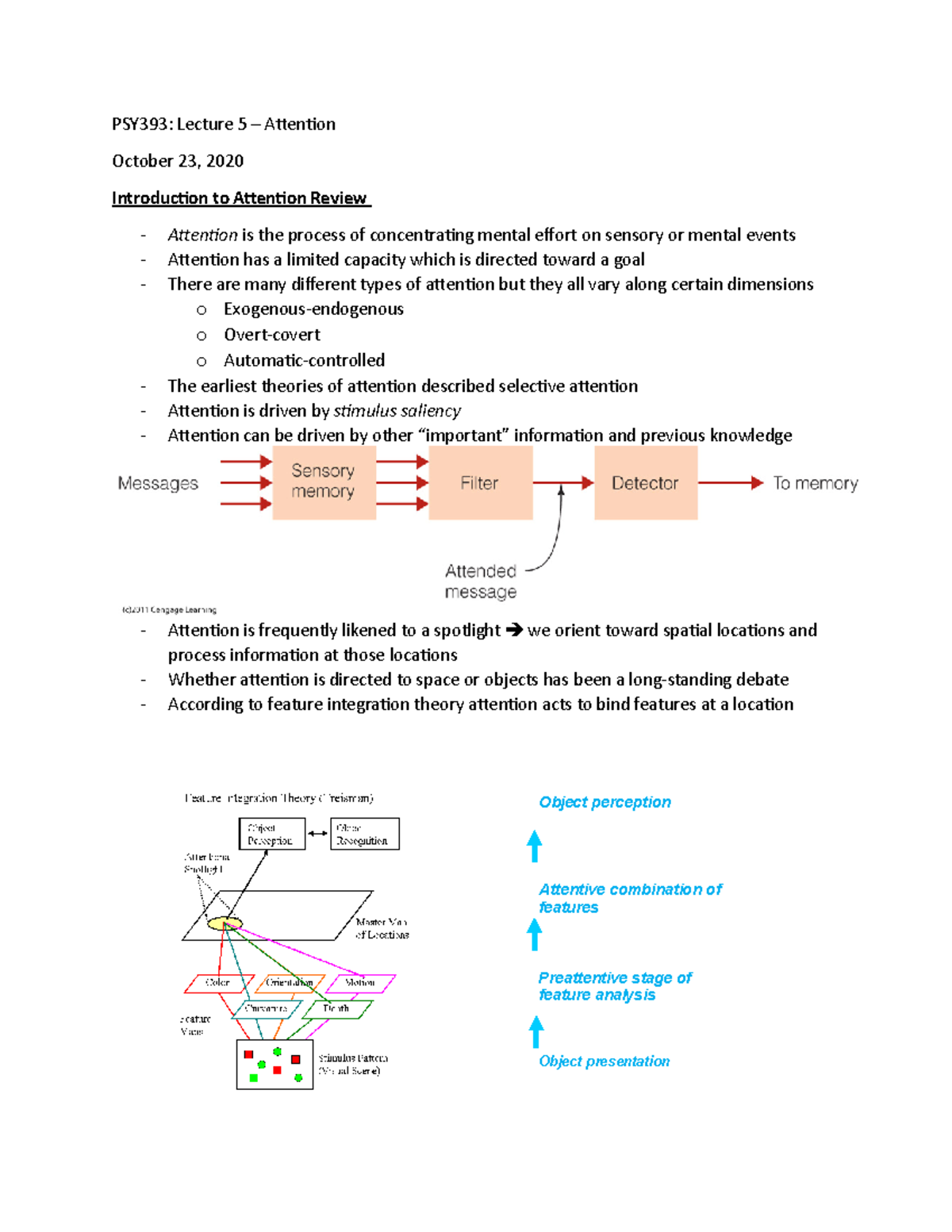 PSY393 - Lecture 5 - Attention - PSY393: Lecture 5 – Atenion October 23 ...
