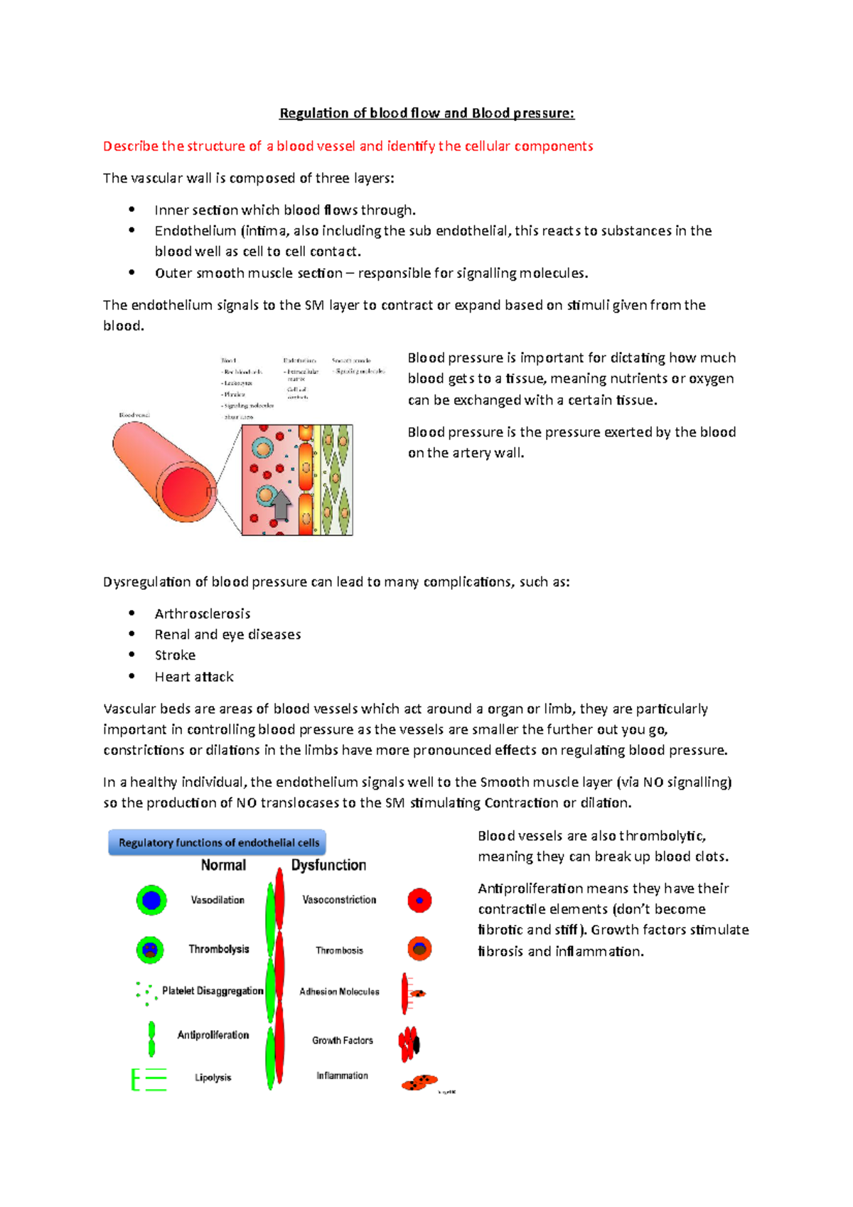 Regulation of blood flow and Blood pressure (18) - Regulation of blood ...