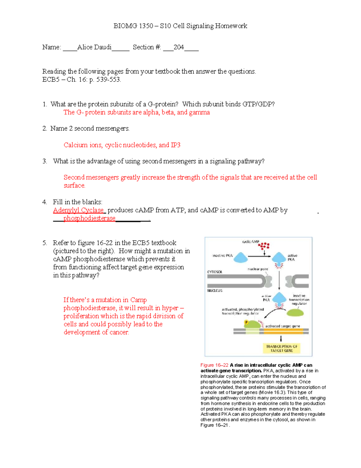 Hwwww 10 Bnljn Jbkn Hbho - BIOMG 1350 – S10 Cell Signaling Homework ...