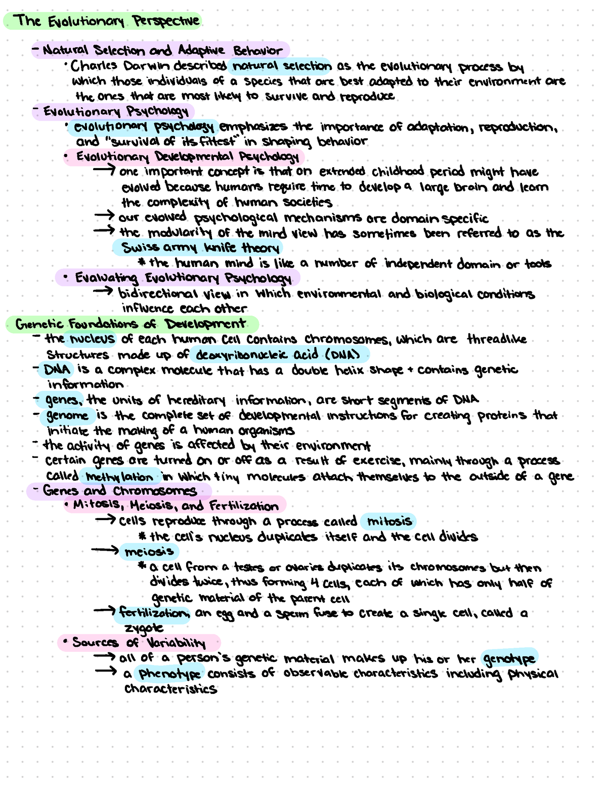 biological beginnings essay