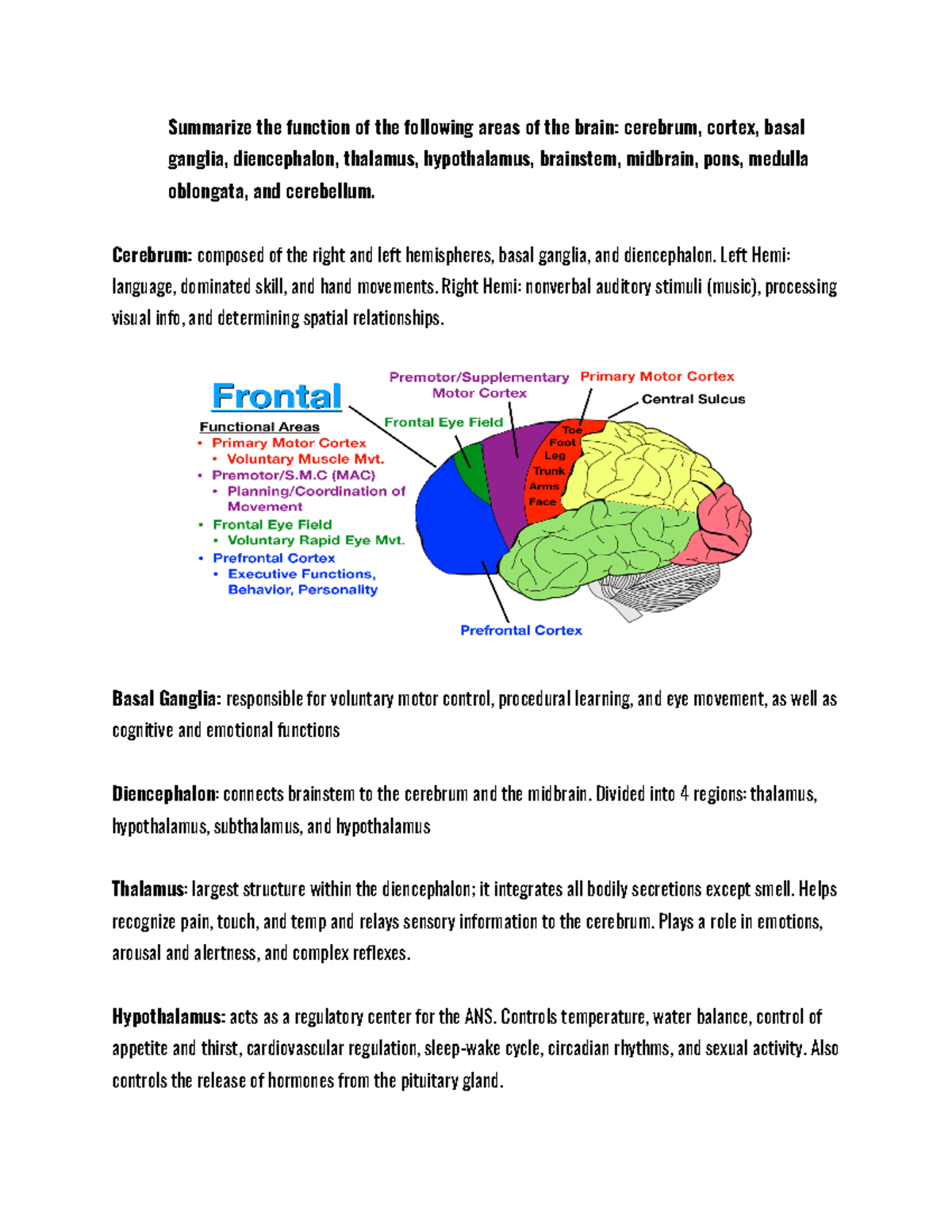 CH 14 NSA - CHAPTER 14 - Summarize the function of the following areas ...