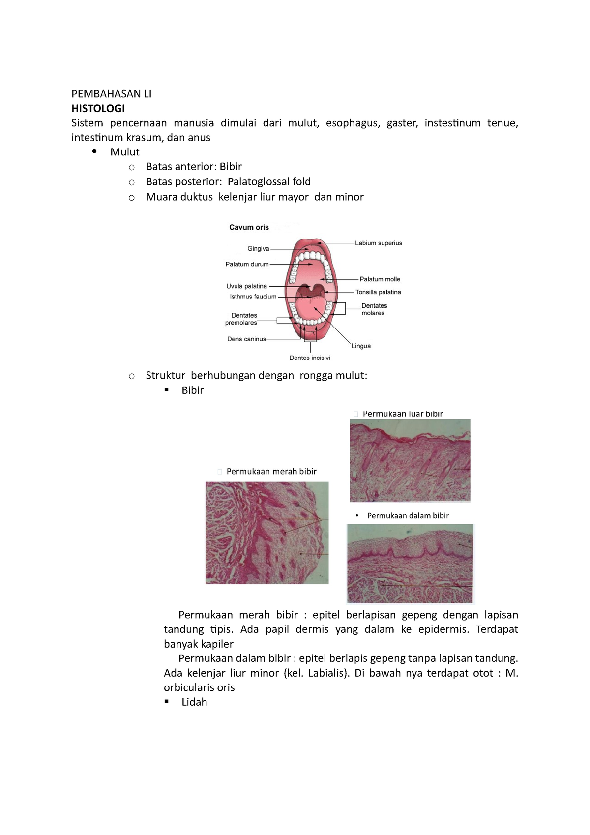 Histologi Pencernaan - PEMBAHASAN LI HISTOLOGI Sistem Pencernaan ...