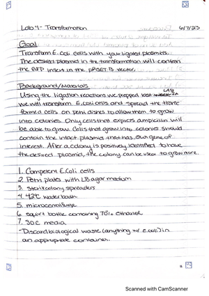 Metodology of Isolation and Characterization of DNA - LAB REPORT ...