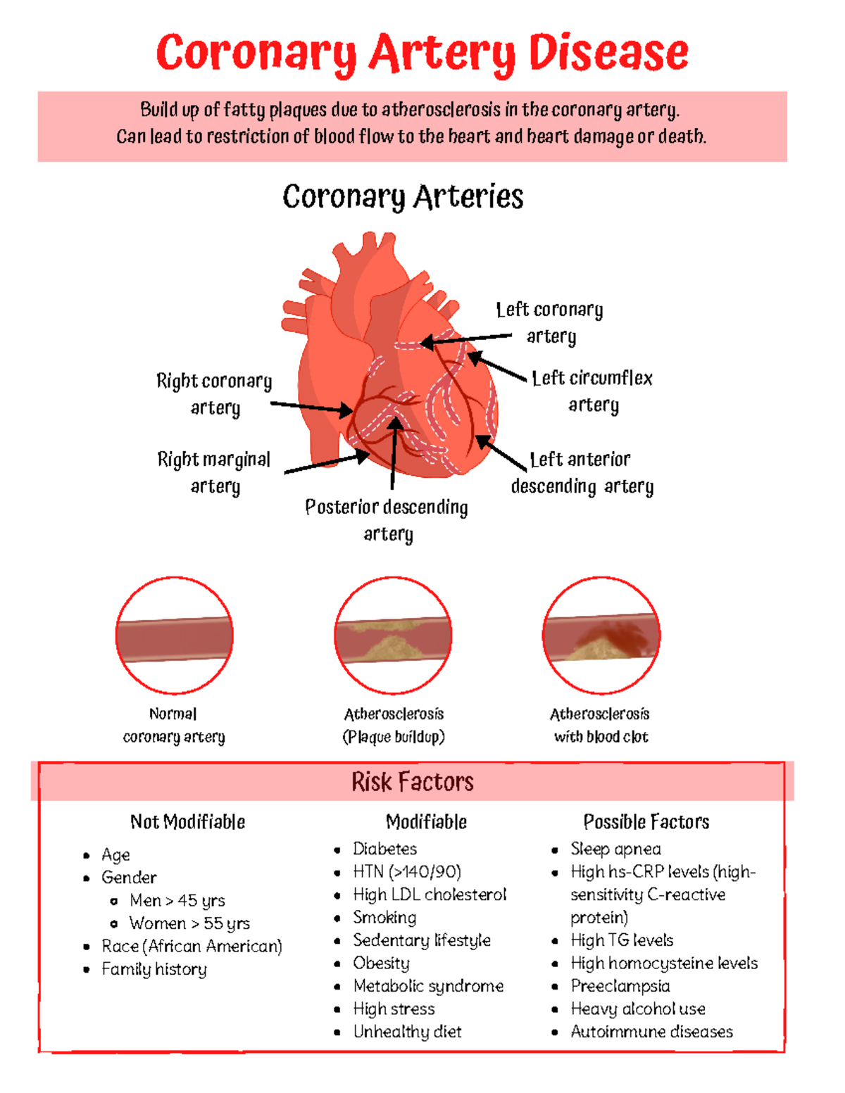 Cholesterol - Risk Factors Atherosclerosis with blood clot ...