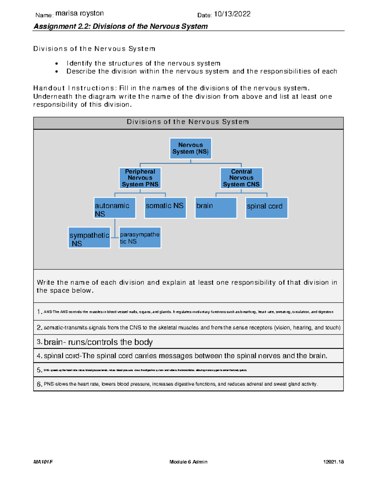 assignment 2.1 nervous system medical terms