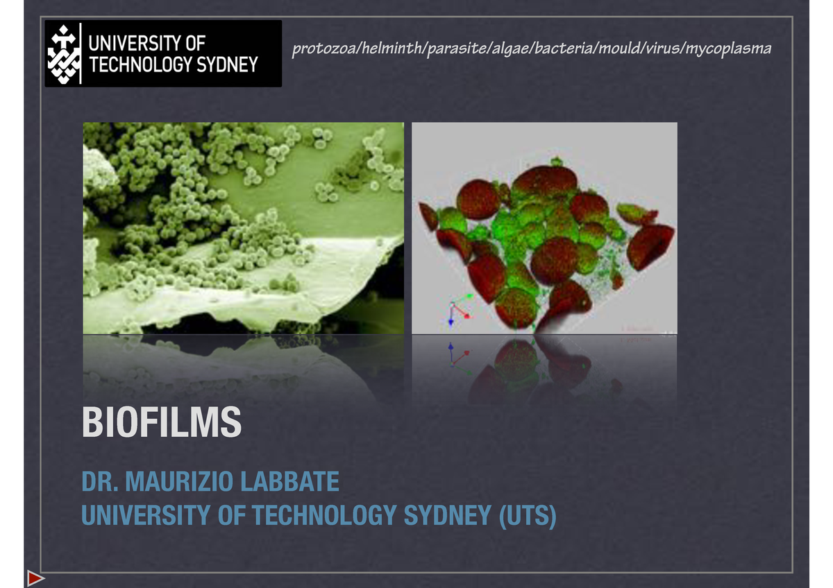 Biofilms - protozoa/helminth/parasite/algae/bacteria/mould/virus ...