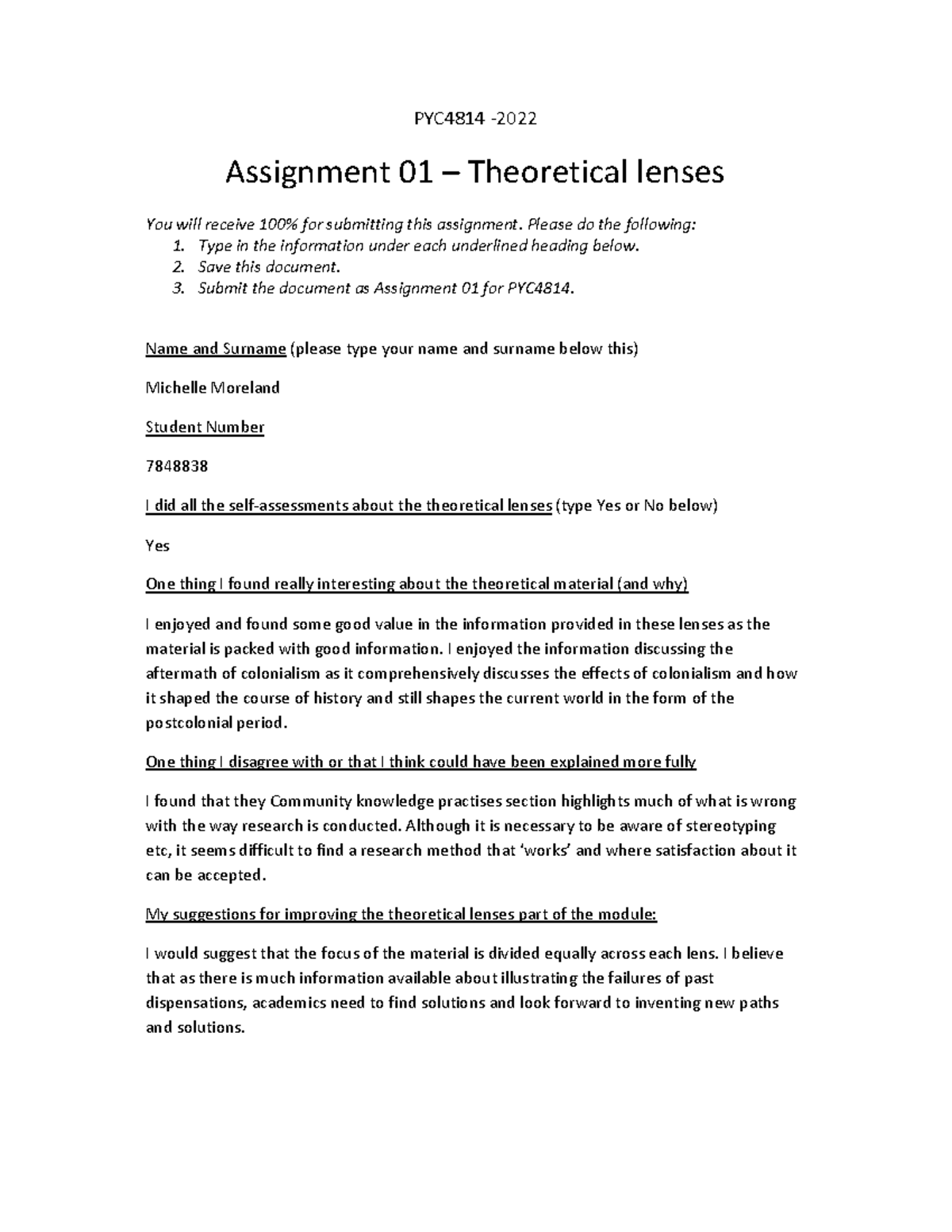 Assignment 1 Essay PYC4814 Assignment 01 Theoretical lenses You