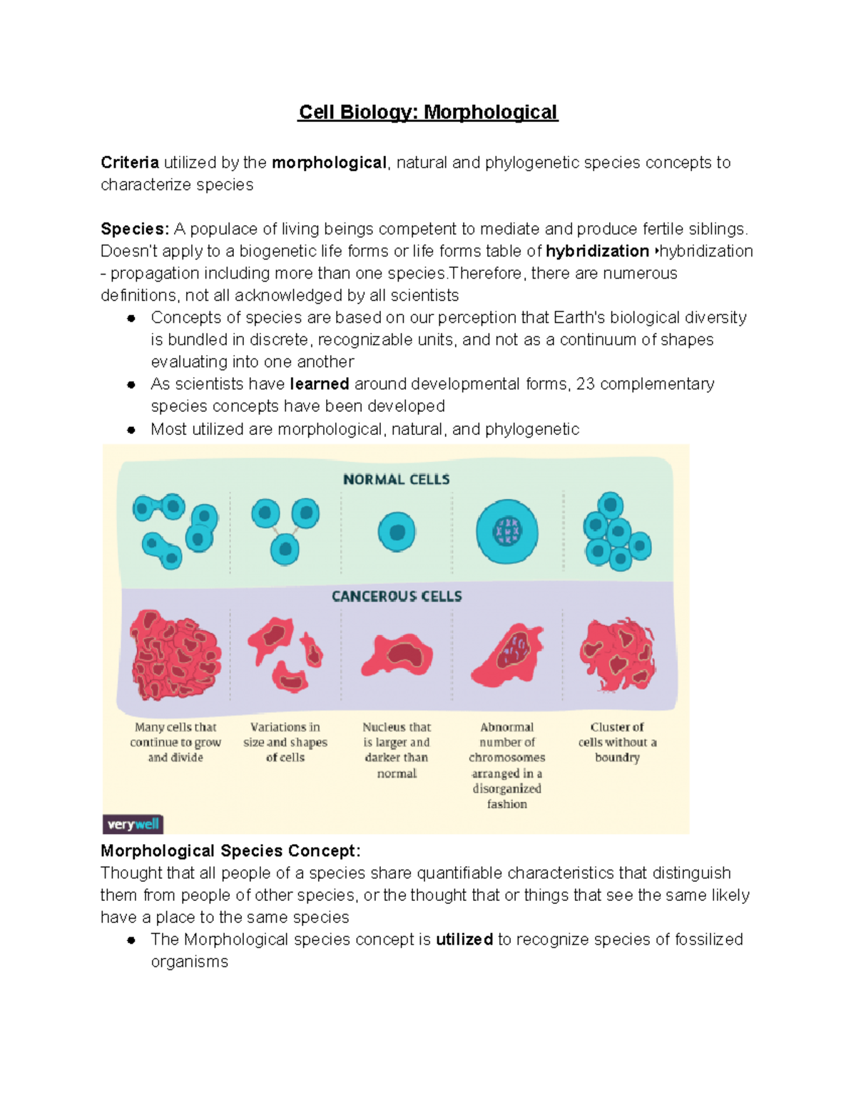 Cell Biology Morphological - Cell Biology: Morphological Criteria ...