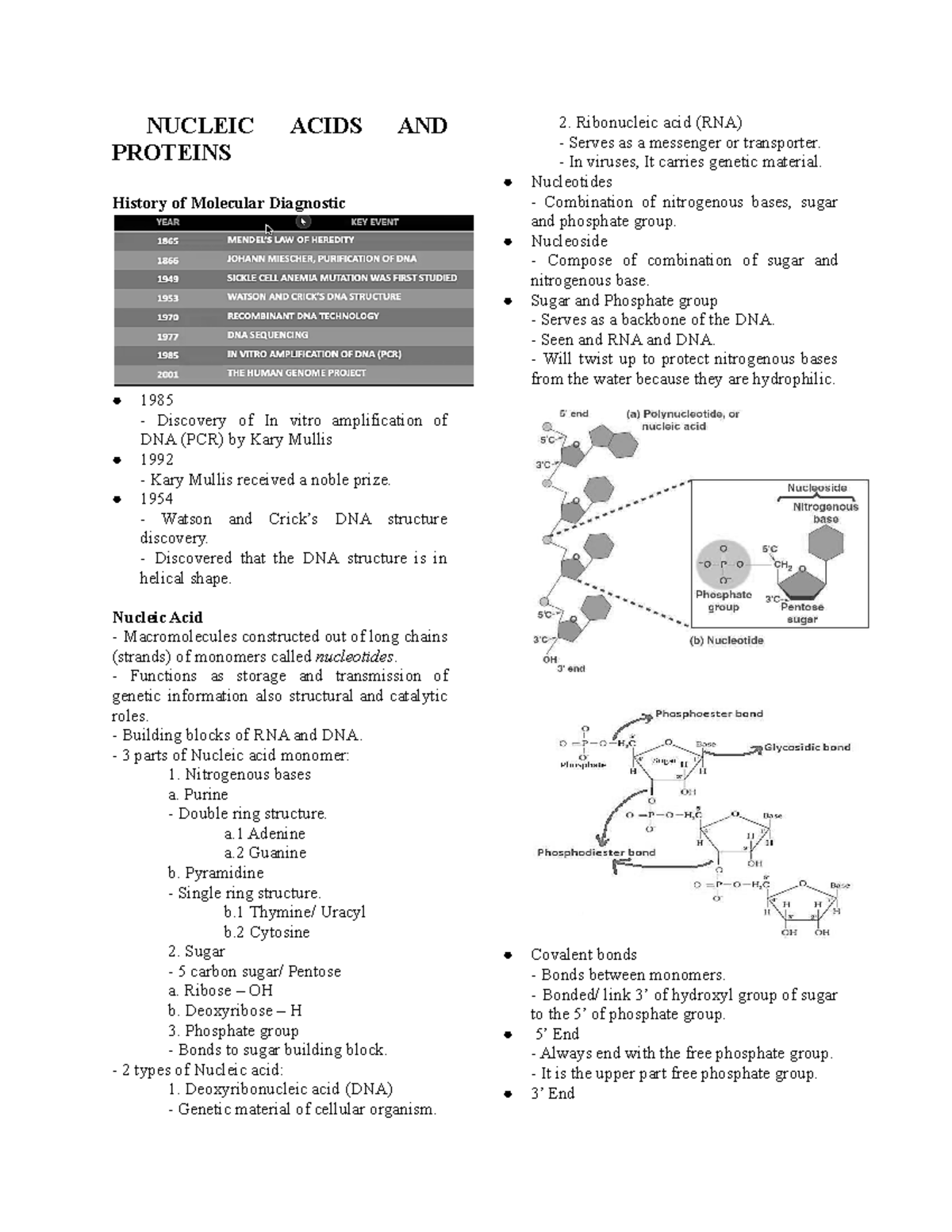 Nucleic Acids AND Proteins - NUCLEIC ACIDS AND PROTEINS History of ...