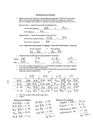 DNArep Transcript Translat Worksheet - Instructor & Section ...