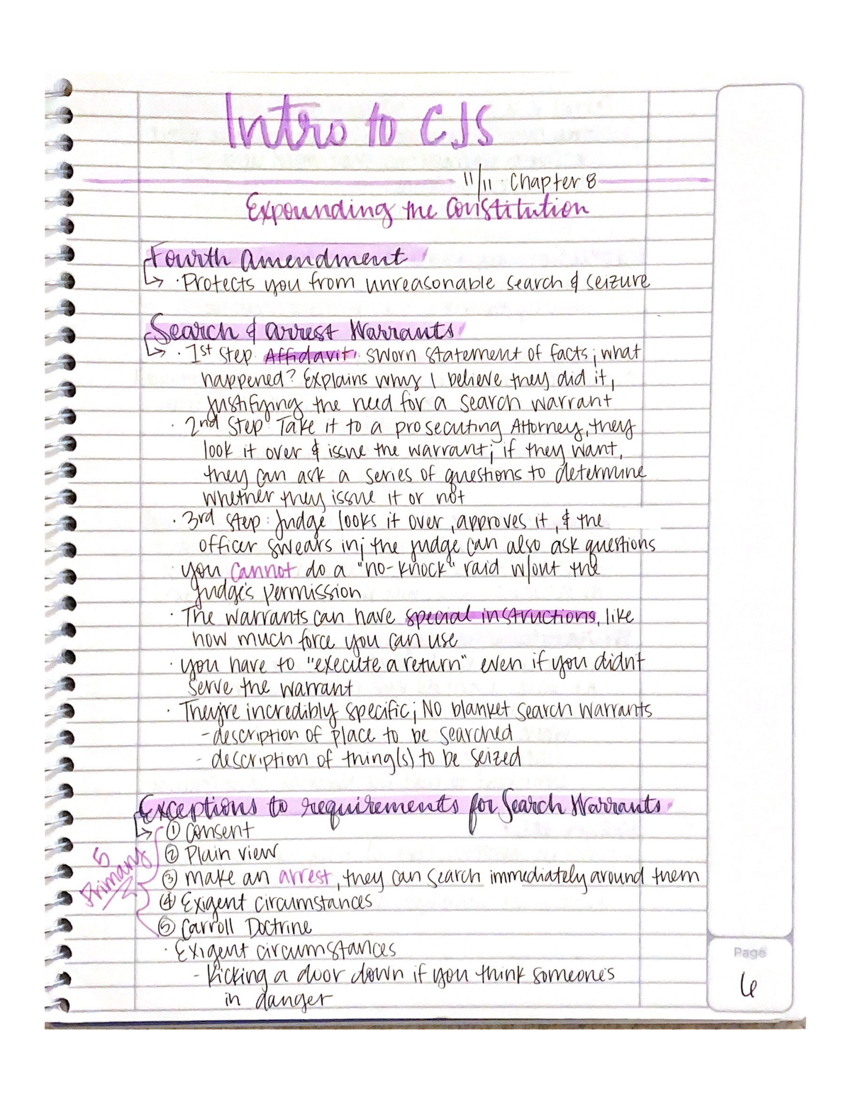 CJ 101 - Intro To The Criminal Justice System: Chapter 8 - CJ 101 - Studocu