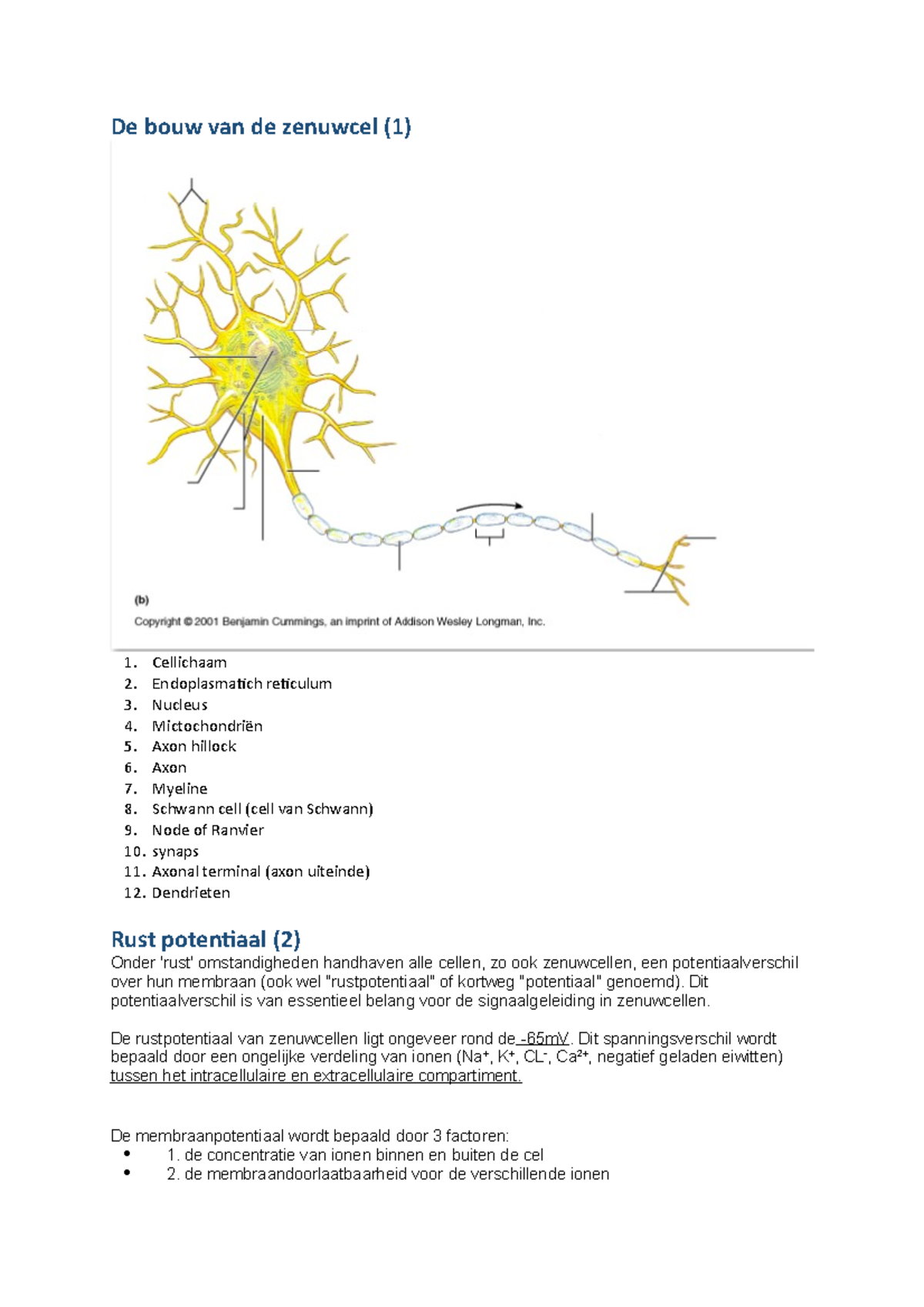 Zelfstudiemodule 1 - De Bouw Van De Zenuwcel (1) Cellichaam ...