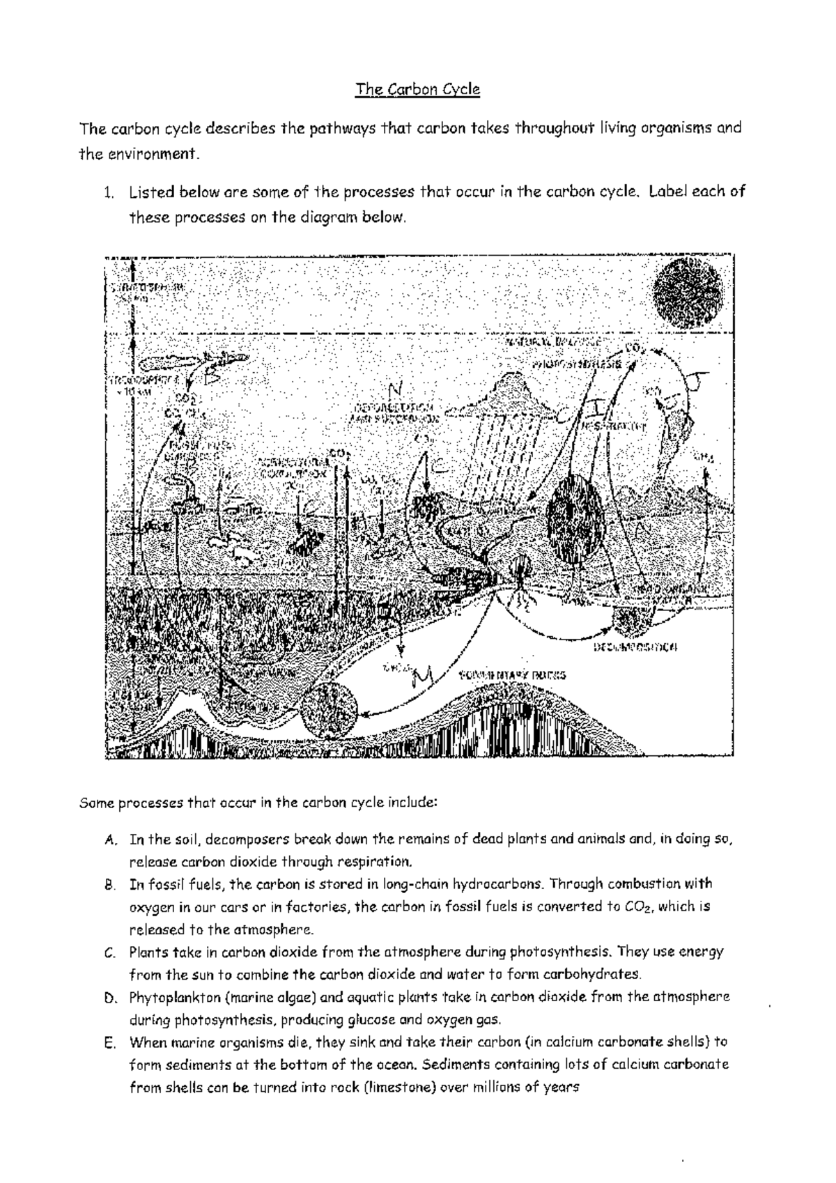 Answers Carbon Cycle Worksheet Fundamentals Of Science Practice