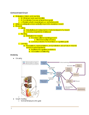 DIsordered Brain unit 3 part 2 - Disordered Brain Belal Jamil ...