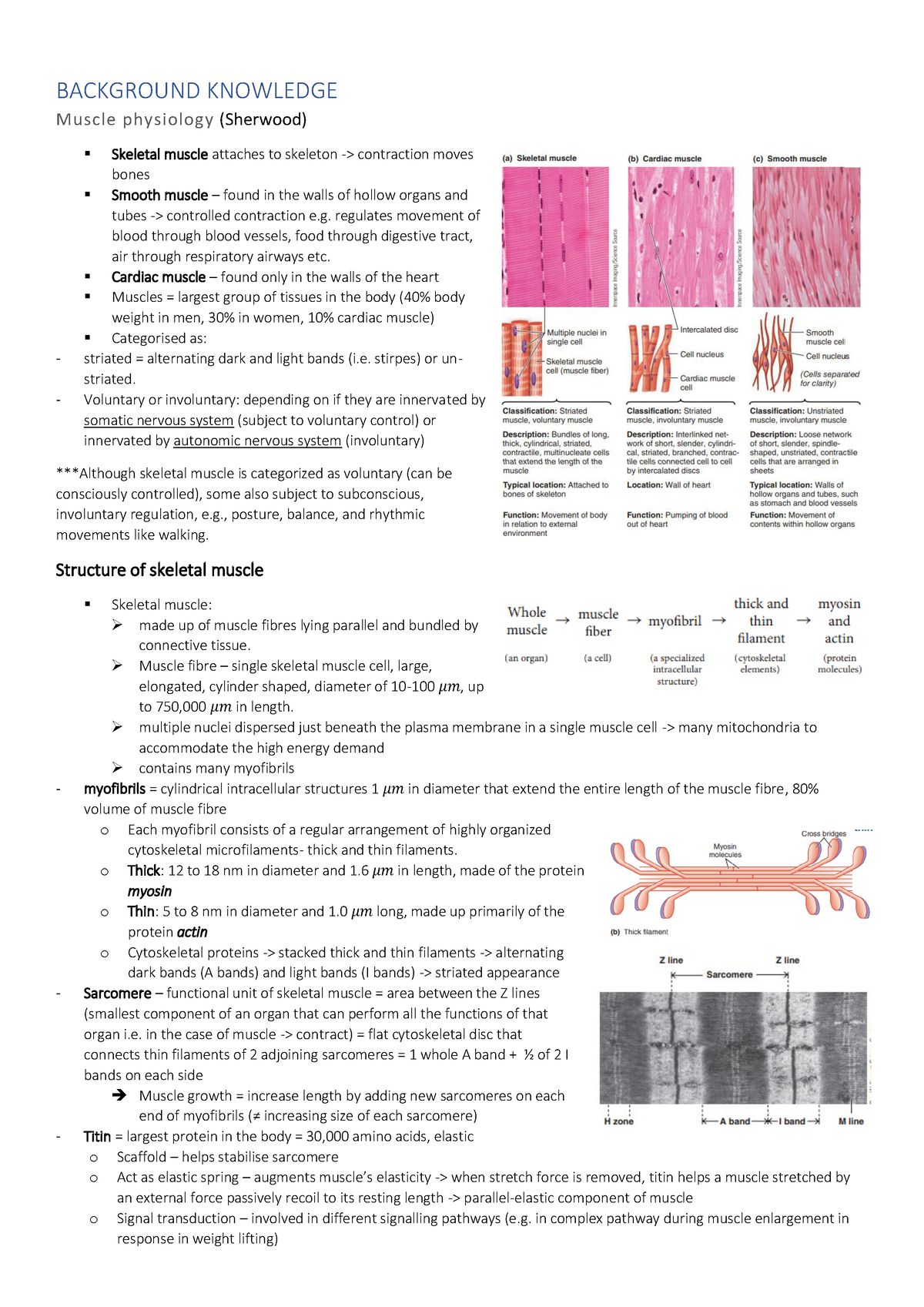 [Notes] Cardiovascular System - BACKGROUND KNOWLEDGE Muscle physiolog y ...