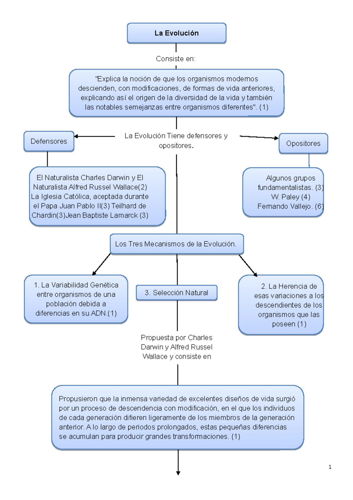 Arriba 99+ imagen mapa mental de las principales causas de la evolucion