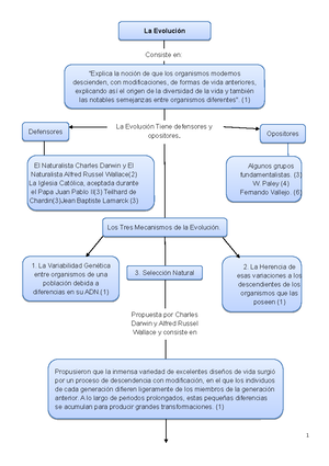 La Evolución (Mapa Conceptual) - La Consiste en: la de que los organismos  modernos descienden, con - Studocu