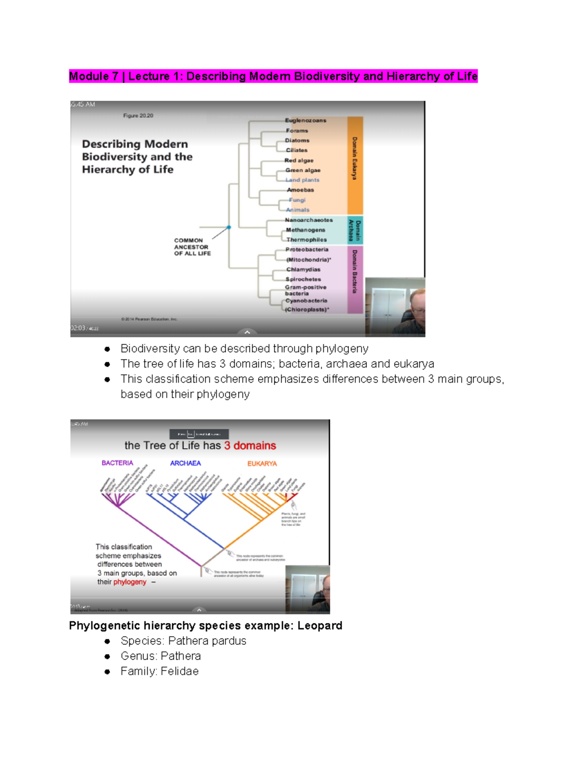 Module 7 Lecture 1 Describing Modern Biodiversity and Hierarchy of Life ...