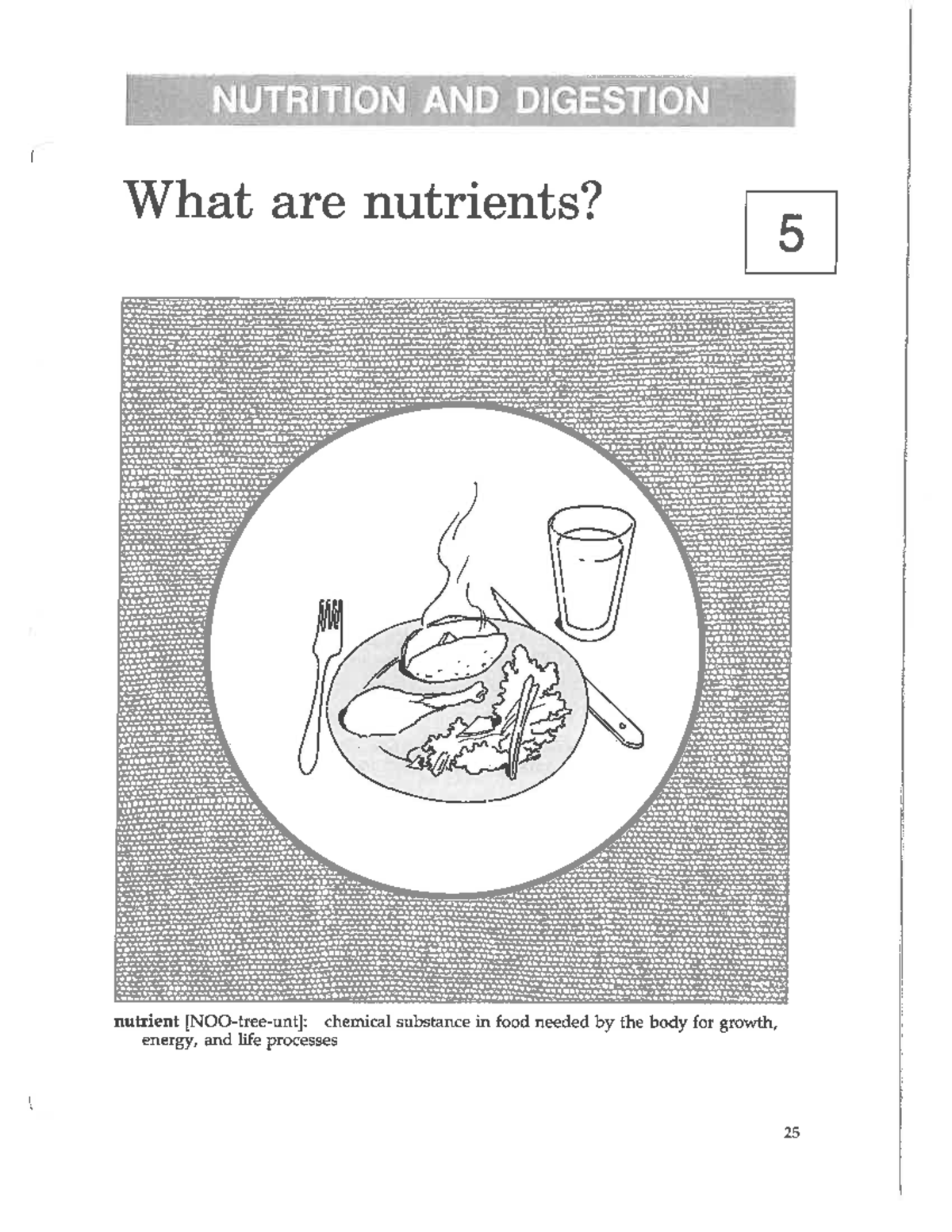 Nutrients in Foods - Studocu