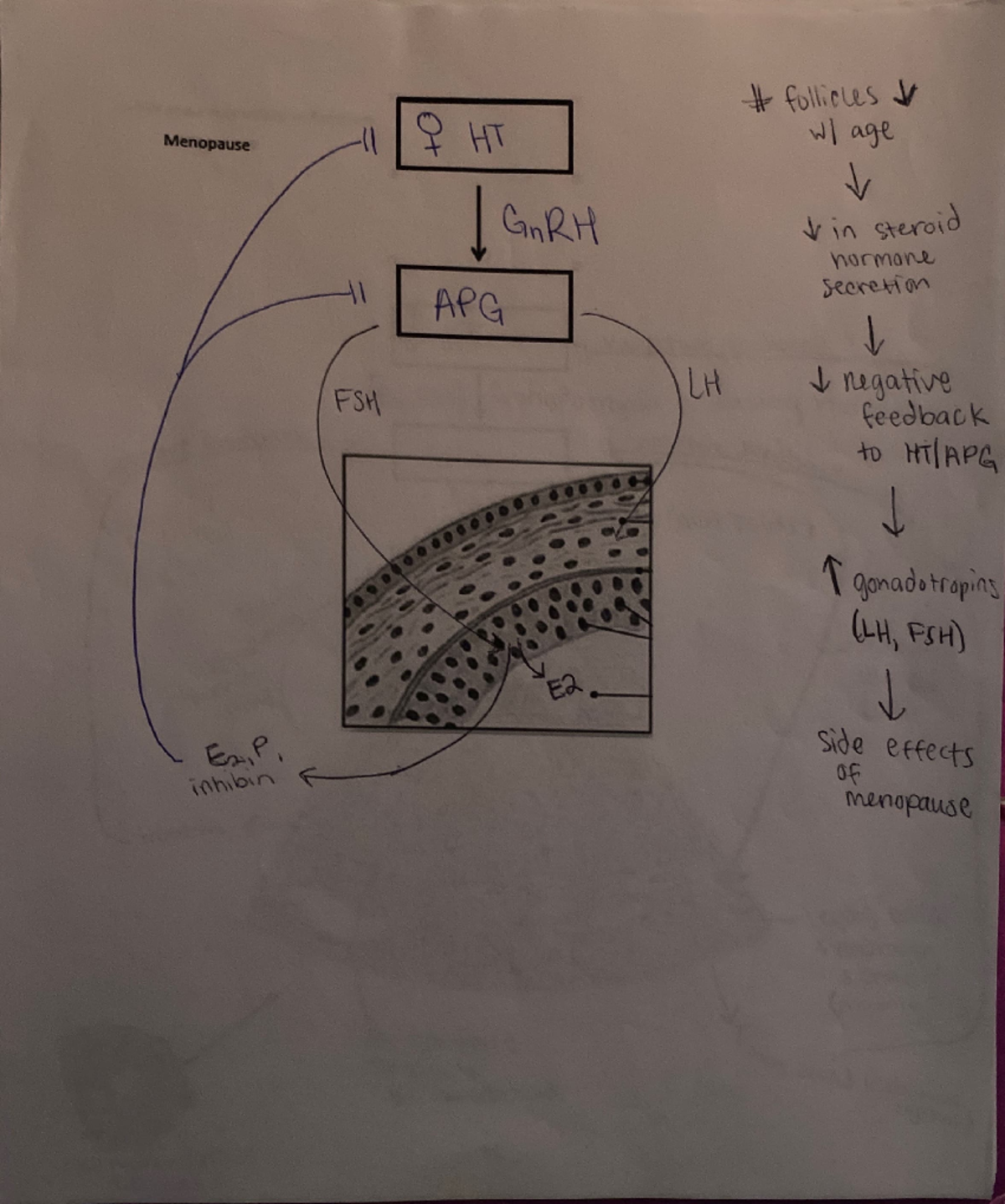 bio 277 unit 8 homework