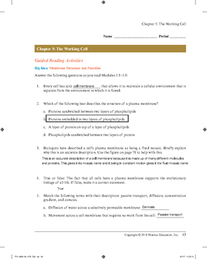 HW1 Innate Immunity Study Worksheet final - 1 The Innate Immune System ...