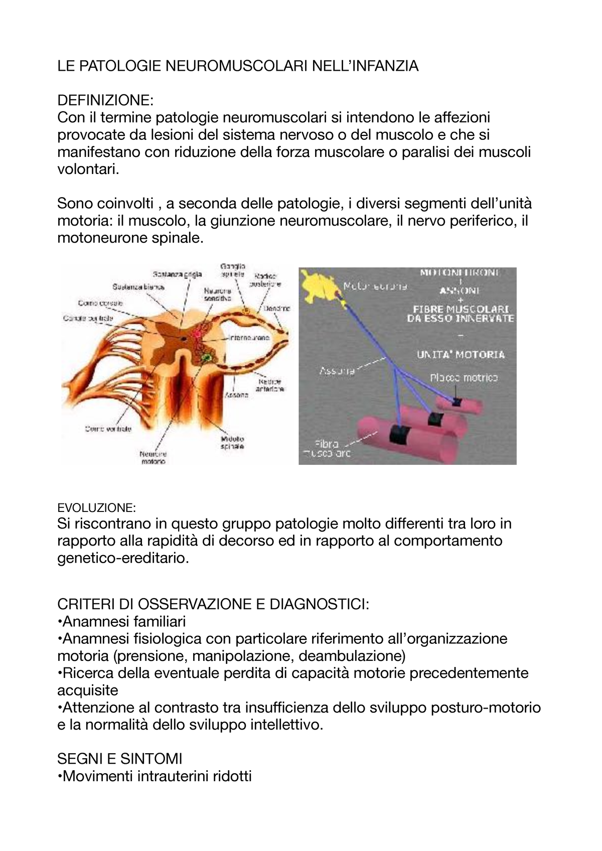 LE Patologie Neuromuscolari NELL' Infanzia - LE PATOLOGIE ...